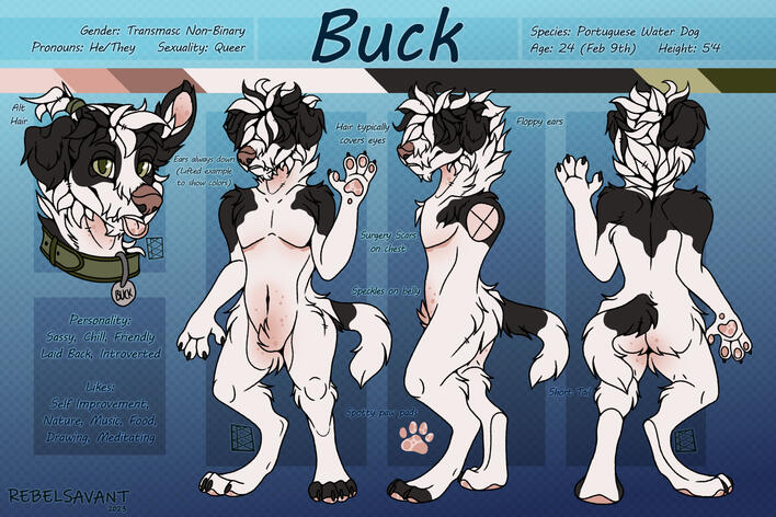 Buck - 3V Ref w/Headshot 2023